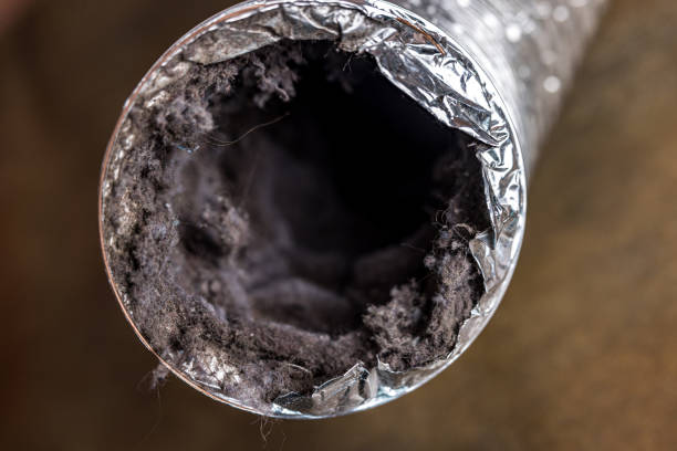 Best Residential Air Duct Cleaning  in Carrollton, TX